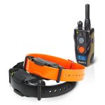 Dogtra Dogtra Field Star 2 Dog 3/4 Mile Remote Trainer