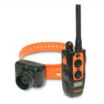 Dogtra 2700T&B Training & Beeper Collar
