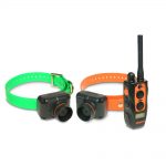 Dogtra 2702T&B Training & Beeper Collar