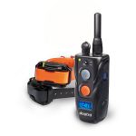 Dogtra Dogtra 282C Two Dog  Remote Training Collar