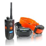 Dogtra Super-X 2 Dog 1 Mile Remote Trainer