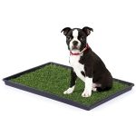 Prevue Hendryx Tinkle Turf  Small