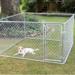 Fence Master Box Dog Kennel and Dog Pen System