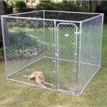 Fence Master Small Boxed Kennel