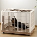 Richell Pet Training Crate  Large