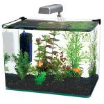Penn Plax Radius 5 Gallon Glass Aquarium Kit