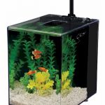 Penn Plax Prism Nano Aquarium Kit Black