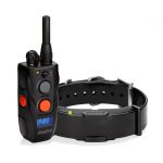 Dogtra Dogtra ARC Remote Trainer