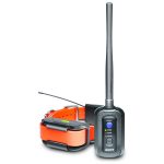 Dogtra Dogtra Pathfinder GPS Tracking & Remote Training Collar