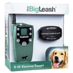 DogWatch BigLeash V-10 Vibration Remote Trainer