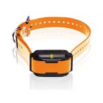 Dogtra Dogtra Edge RT Trainer Extra Collar Orange