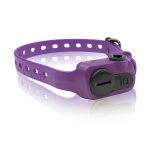 Dogtra iQ No Bark Collar Purple