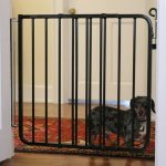 Cardinal Auto Lock Pet Gate Black