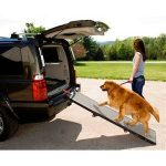 Pet Gear Tri-Fold Pet Ramp
