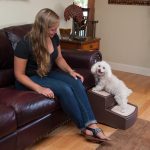 Pet Gear Easy Step II Pet Stairs Chocolate