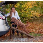 Pet Gear Free-Standing Extra Wide Carpeted Pet Ramp