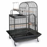 Prevue Hendryx Deluxe Parrot Dometop Cage with Playtop