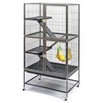 Prevue Hendryx Feisty Ferret Home