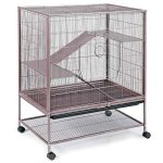 Prevue Hendryx Hendryx Rat and Chinchilla Cage