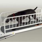 GoPet PetRun PR725 Dog Treadmill