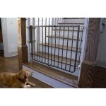 Cardinal Wrought Iron Decor Dog Gate Bronze