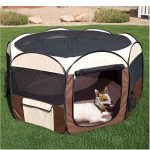 Ware Deluxe Pop Up Pet Pen  Medium
