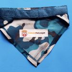 National Fur League Pet Bandanna