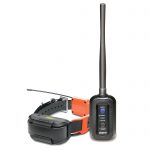 Dogtra Pathfinder GPS Tracking System